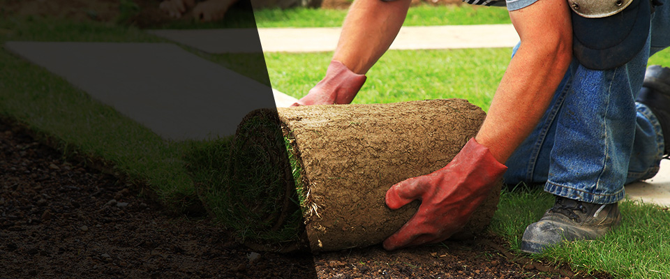 Manor Landscapers